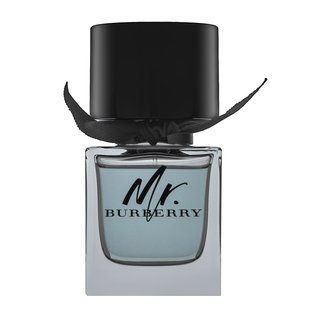 Burberry Mr. Burberry Eau De Toilette Para Hombre 50 Ml-image