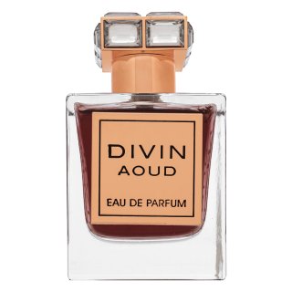 French Avenue Divin Aoud Eau De Parfum Unisex 100 Ml-image