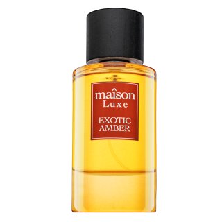 Hamidi Maison Luxe Exotic Amber Perfume Para Hombre 110 Ml-image