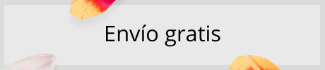 Envío gratis