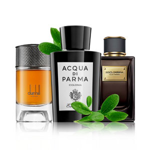 Perfumes nicho para hombres